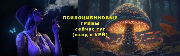 крисы Богданович