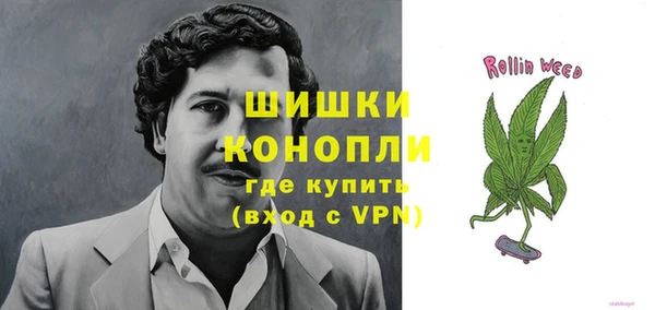 крисы Богданович
