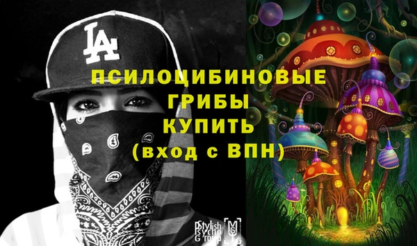 стаф Богородск