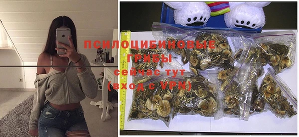 крисы Богданович