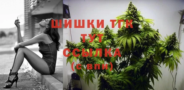 стаф Богородск
