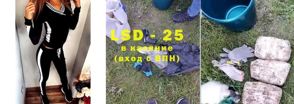 крисы Богданович